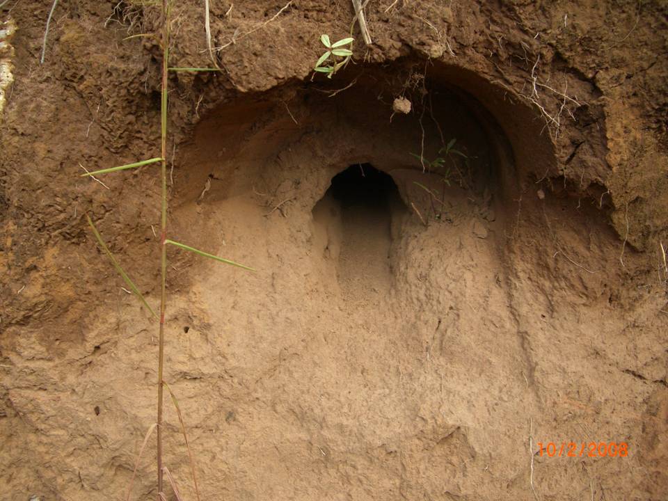 FIGURE 6 FIGURE 6